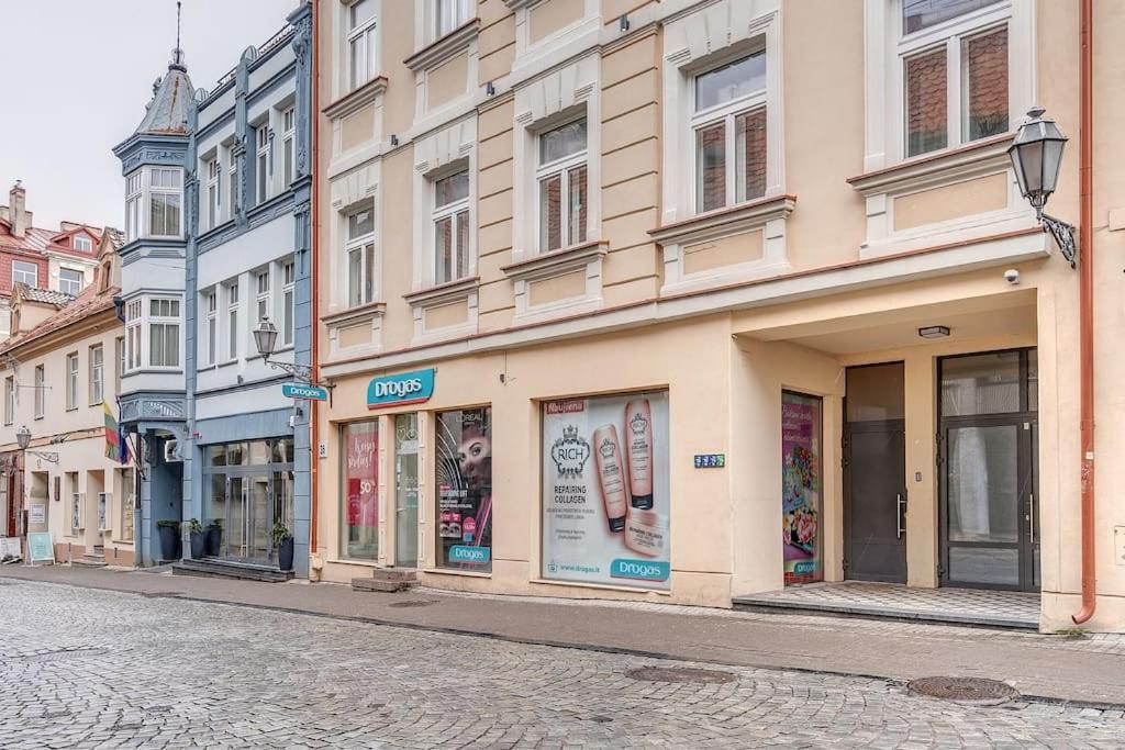Spacious 2-Bedroom Flat In Old Town By Urban Rent VNO Kültér fotó
